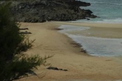 Cornwall